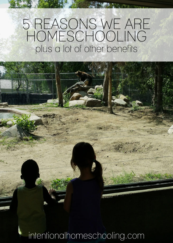 Everyone asks why we've made the choice to homeschool, there are so many reasons but I was able to pinpoint our top 5. And since I couldn't be limited to just that I also included tons of additional benefits.