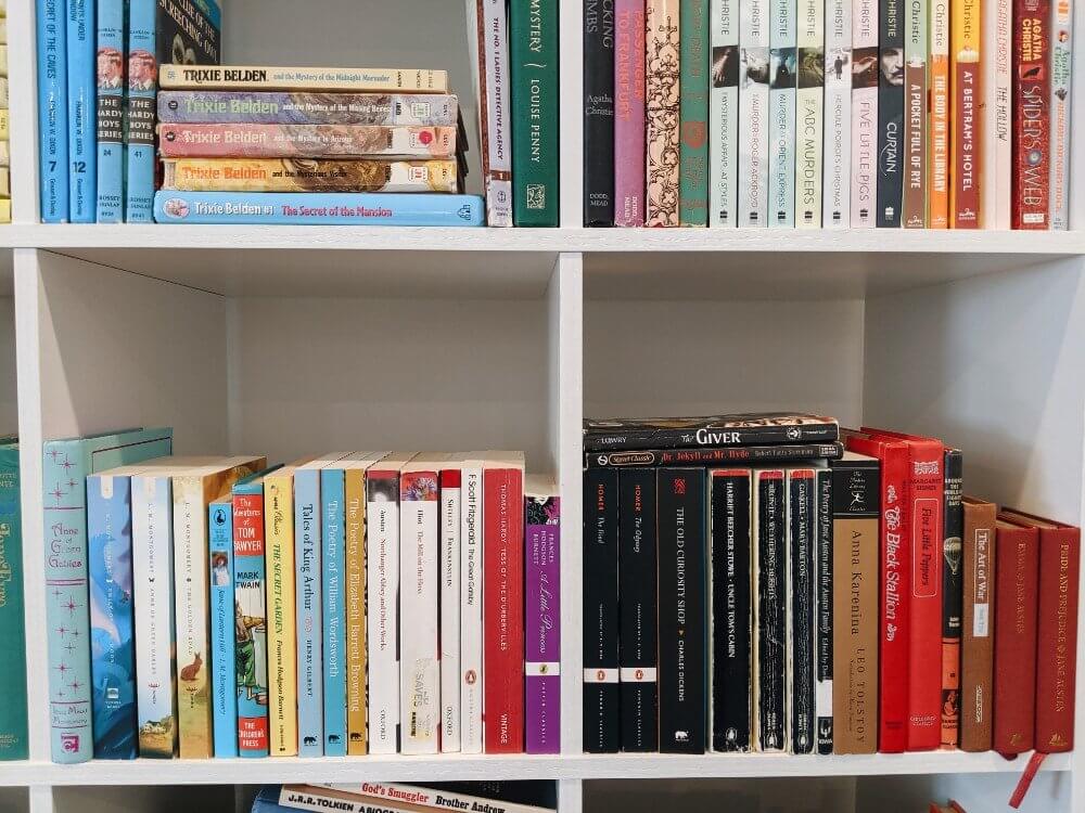 Read Your Bookshelf - A 2020 Reading Challenge
