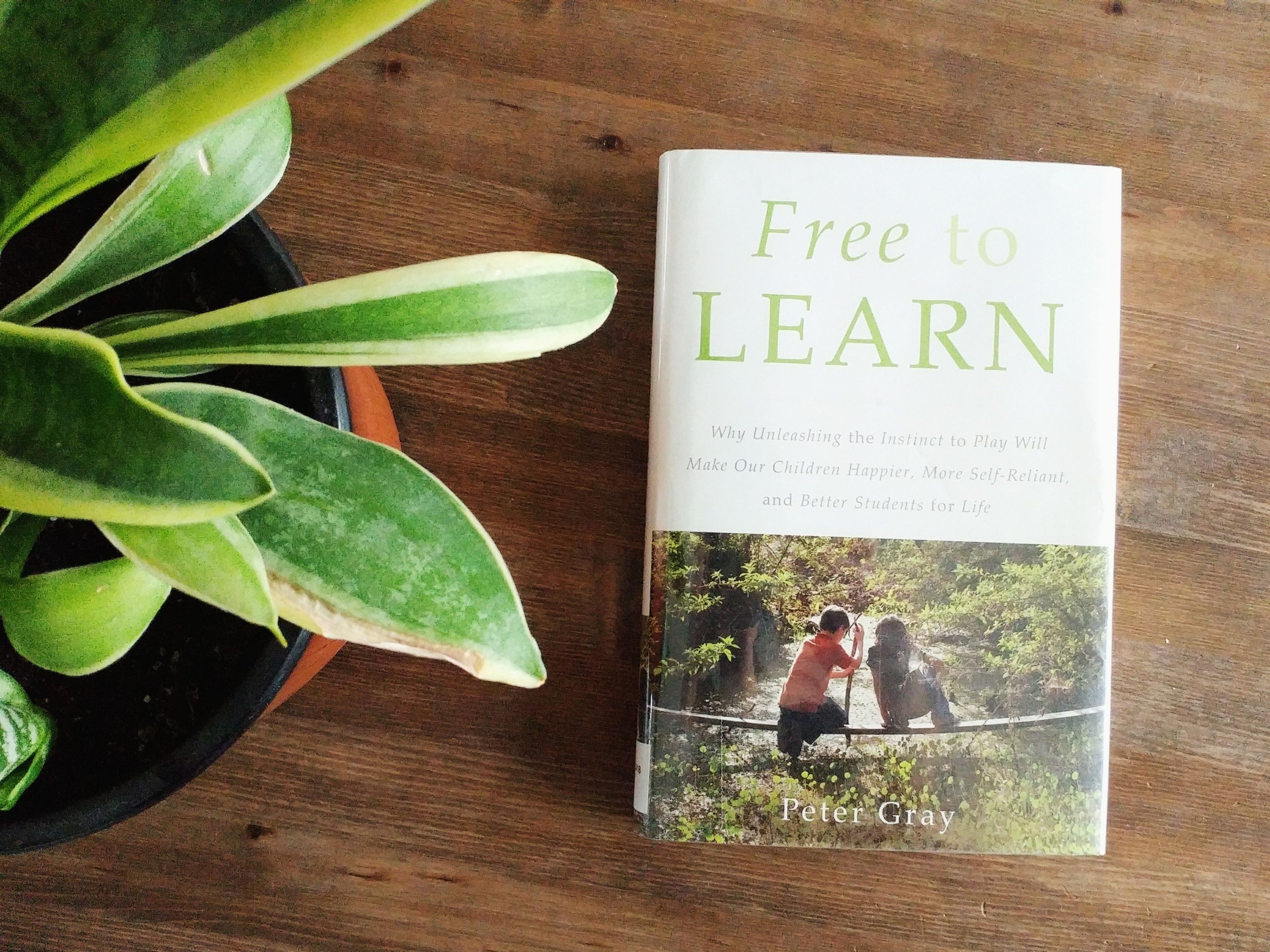 Free to Learn - A Free Book Club for Homeschooling Moms!