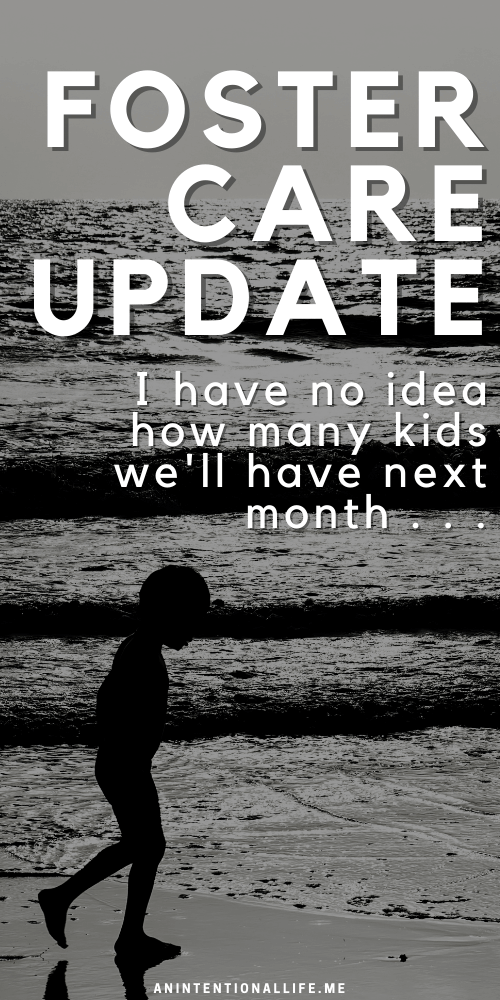 Foster Care Update - fostering is unpredictable!